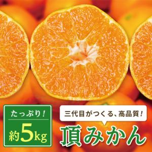 三代目がつくる高品質【頂みかん】5kg【C31-16】