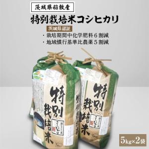 ふるさと納税 稲敷市 【令和6年産】茨城県認証　特別栽培米コシヒカリ10kg(5kg×2袋)