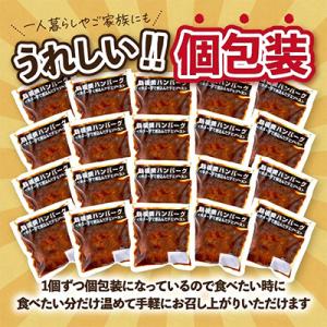 ふるさと納税 飯塚市 鉄板焼ハンバーグ(デミソ...の詳細画像2