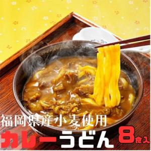フジギクカレーうどん　287g(8食入り)