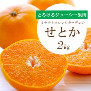 【先行受付】とろける濃厚果肉 せとか2kg 愛媛県八幡浜産【E25-37】