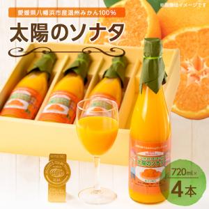 太陽のソナタ(4本入り)【D12-1】