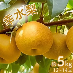 幸水梨　1箱(12個～14個)
