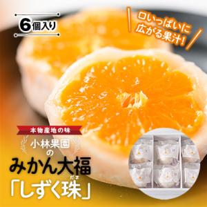 “本物産地の味” みかん大福「しずく珠(だま)」口いっぱいに広がる果汁!【C24-11】