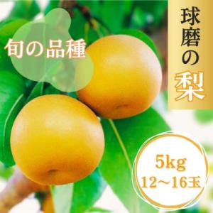 熊本県JAくま産　球磨の梨　5kg(12～16玉　旬な品種)