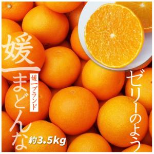 【2026年11月以降発送】ゼリーのような食感!「媛一まどんな」約3.5kg入【D28-22】