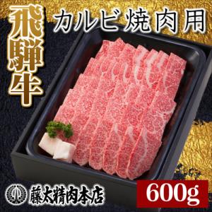 ふるさと納税 養老町 【飛騨牛】カルビ焼肉600g