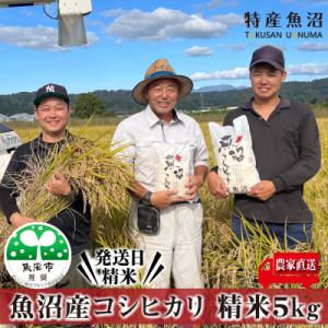 【令和7年産】農家直送 魚沼産コシヒカリ　精米5Kg 【特産魚沼】