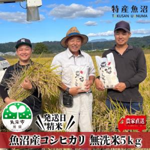 【令和7年産】農家直送 魚沼産コシヒカリ　無洗米5Kg 【特産魚沼】