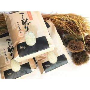 実生庵の近江米【四季風流】コシヒカリ 5kg×3袋 精米 MS85