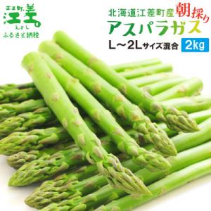 北海道江差町産 アスパラガス 2kg　L～2Lサイズ　朝採り農家直送