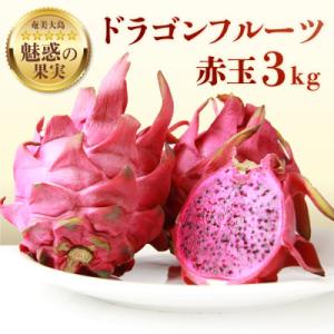 2026年発送【魅惑の果実】奄美大島産ドラゴンフルーツ(赤玉) 3.0kg