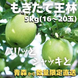 【青森ごのへ産】 パリッと、シャキッとした王林 約5kg(16～20玉)