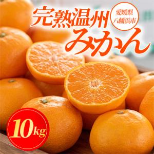 ふるさと納税 八幡浜市 コウ果樹園の「小玉みかん10kg」!“柑橘王国”愛媛県八幡浜の【完熟みかん】【C33-15】