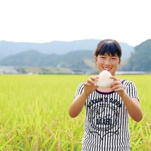 ふるさと納税 四万十町 【武吉米穀店のお米をお試し】感動の仁井田米!使い切り2合パック×4