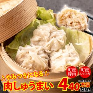 やみつきになる美味さ!旨味がギュッと凝縮された肉しゅうまい