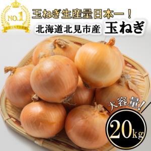 ふるさと納税 北見市 北海道　北見産　玉ねぎ　20kg