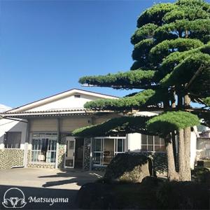ふるさと納税 富士吉田市 羽毛布団セットシング...の詳細画像3