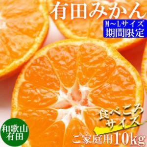 先行受付【ご家庭用】和歌山有田みかん約10kg(M、Lサイズ)【湯浅町】