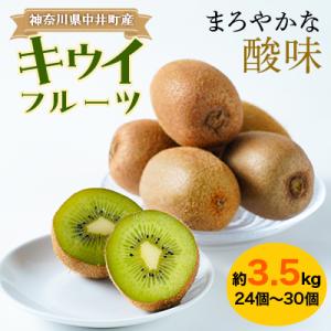 ふるさと納税 南アルプス市 キウイフルーツ「ヘイワード」24〜30 ふるさと納税 南アルプス市 キウイフルーツ「ヘイワード」24〜30