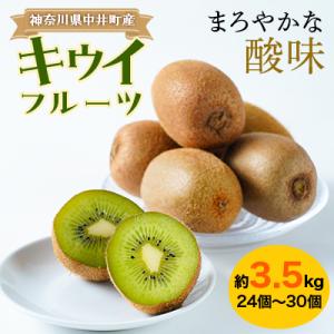 ふるさと納税 中井町 【農薬不使用】ミネラルたっぷり中井町産キウイフルーツ約3.5kg｜y-sf