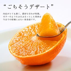 コウ果樹園の「厳選　華まどんな」3kg(4L～L　8～15玉)【E33-8】