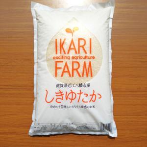 ふるさと納税 近江八幡市 【令和5年産】すっごいもちもち「しきゆたか」白米5kg