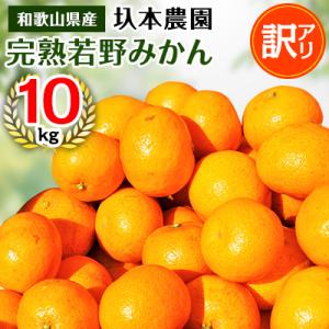 ふるさと納税 日高川町 【11月下旬から順次発送】圦本農園の完熟 若野みかん 10kg(ワケあり・玉...