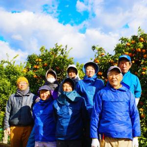 ふるさと納税 日高川町 【11月下旬から順次発...の詳細画像3