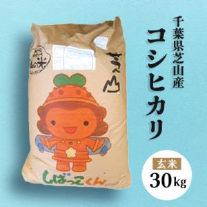 【令和7年産】芝山町産コシヒカリ30kg(玄米)