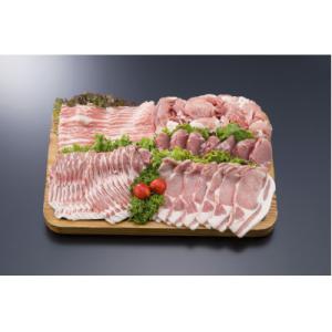 【さとふる限定】【宮崎県 都城市産】「きなこ豚」 焼肉・とんかつセット 2.1kg