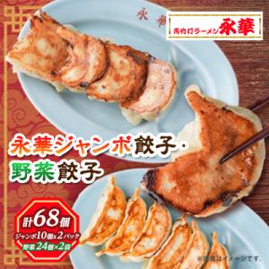 佐野餃子(大)10個2人前×2パックと佐野餃子(中)24個4人前×2袋