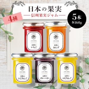 信州果実ジャム5本セット