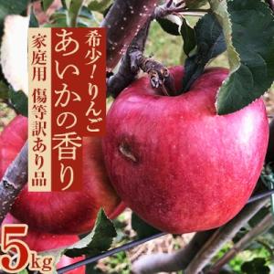 ふるさと納税 長野県 2025年【傷等訳あり】甘い!希少!りんご【あいかの香り】約5kg 信州のりん...