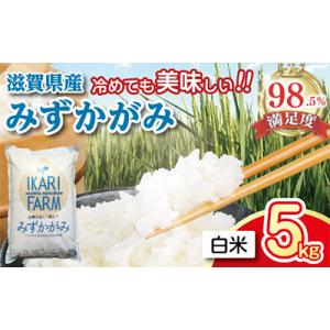 【8年産】冷めても美味しいあっさりとした味わい「みずかがみ」白米【5kg】