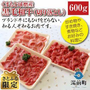 くまもと球磨産　黒毛和牛(切り落とし　600g)