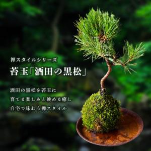 アイテムID:405652の画像1枚目