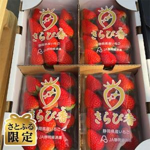 ふるさと納税 裾野市 いちごの里 BerryGoodのきらぴ香　約300g×4パック