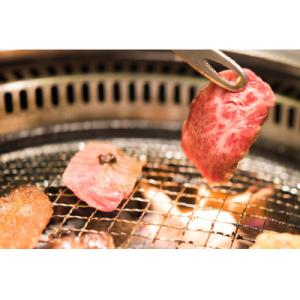 ふるさと納税 高島市 実生庵の黒毛和牛近江牛 【A4等級】 カルビバラ 焼肉用 500g 冷蔵 MS...