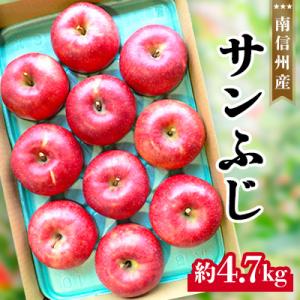 ふるさと納税 飯田市 南信州産サンふじ約4.7kg
