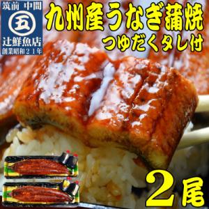 ふるさと納税 中間市 九州産うなぎ蒲焼2尾 秘伝...の商品画像