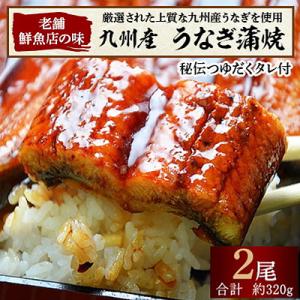 ふるさと納税 中間市 九州産うなぎ蒲焼2尾 秘...の詳細画像1