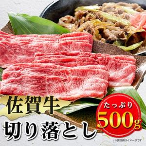 ふるさと納税 嬉野市 佐賀牛切り落とし 500g