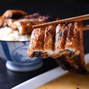 ふるさと納税 嬉野市 うなぎセット (1尾入りタ...の商品画像