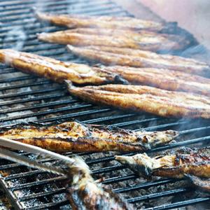 ふるさと納税 嬉野市 うなぎセット (1尾入り...の詳細画像2