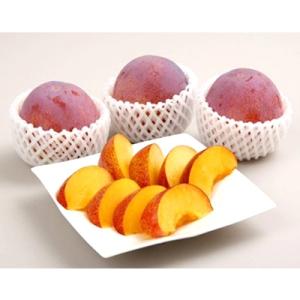 記事番号:33829/アイテムID:357775の画像