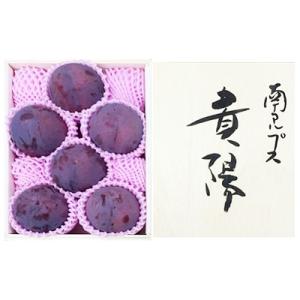 ふるさと納税 南アルプス市 特選すもも 【 貴陽...の商品画像