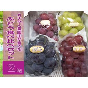 【カナダ人農園主の真心を込めた】ぶどう食べ比べセット約2kg
