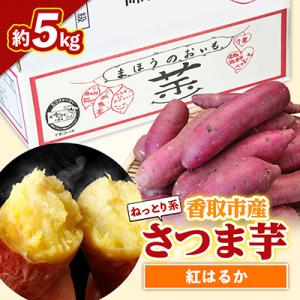 香取市産 さつまいも 紅はるか 約5kg 焼き芋 や スイートポテト にどうぞ