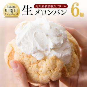 ふるさと納税 川南町 クリームたっぷり生メロンパン6個セット　